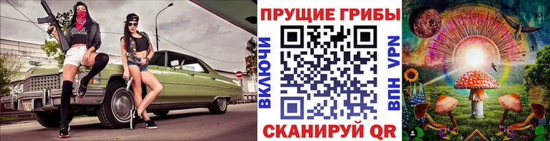 как найти закладки  Грязи  Псилоцибиновые грибы прущие грибы 